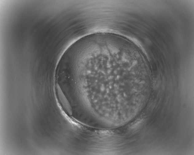 X0000067350903200604071422