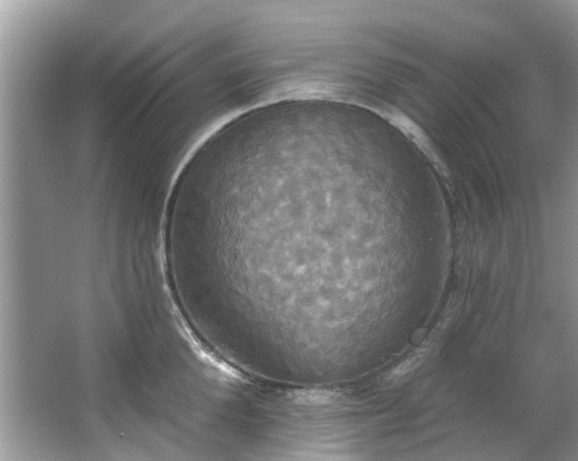 X0000067350904200604071422