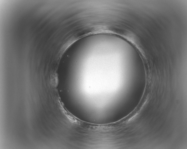 X0000067350905200604071422