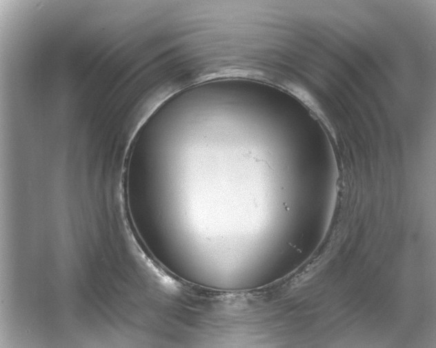 X0000067350906200604071422