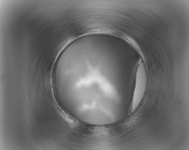 X0000067350907200604071422