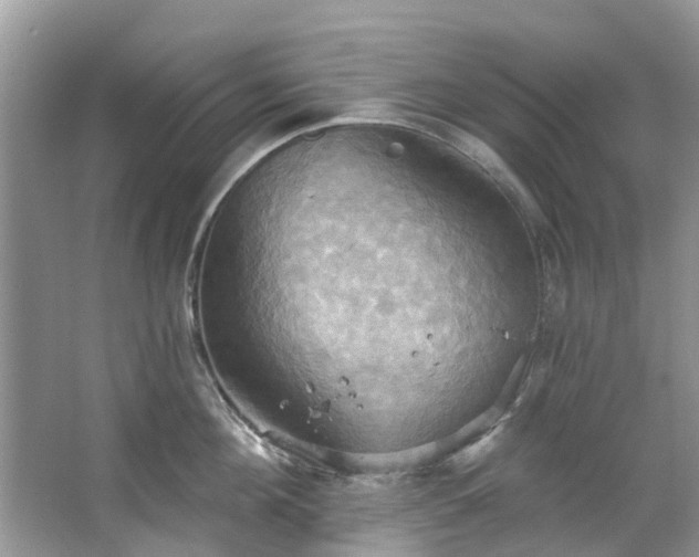 X0000067350908200604071422