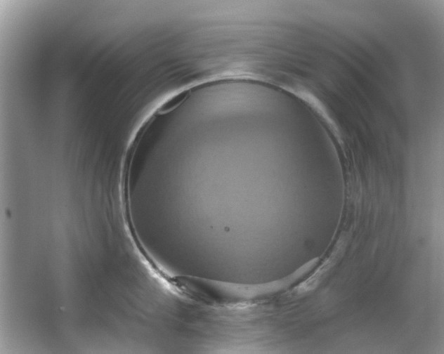 X0000067350910200604071422