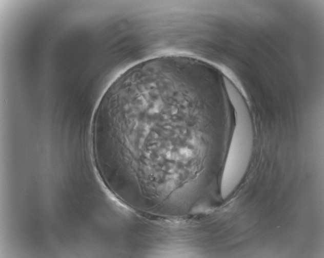 X0000067350911200604071422