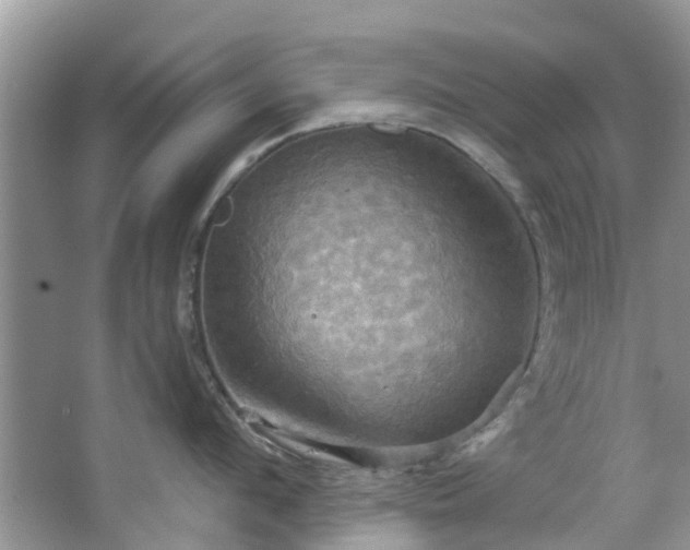 X0000067350912200604071422