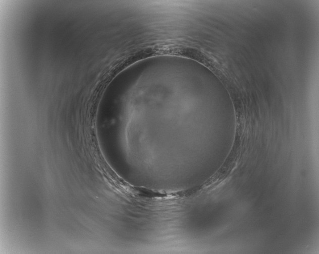 X0000067350913200604071421