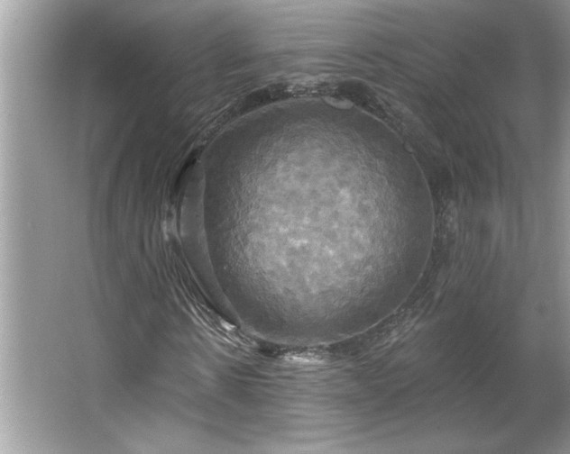 X0000067350914200604071421