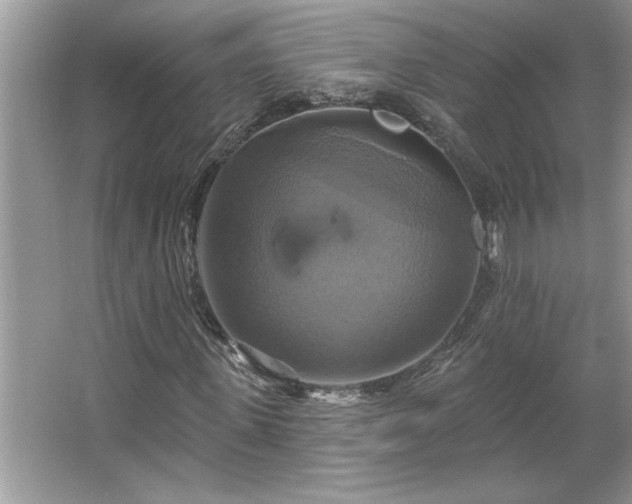 X0000067350915200604071421