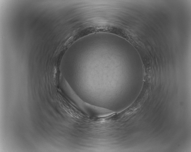 X0000067350916200604071421