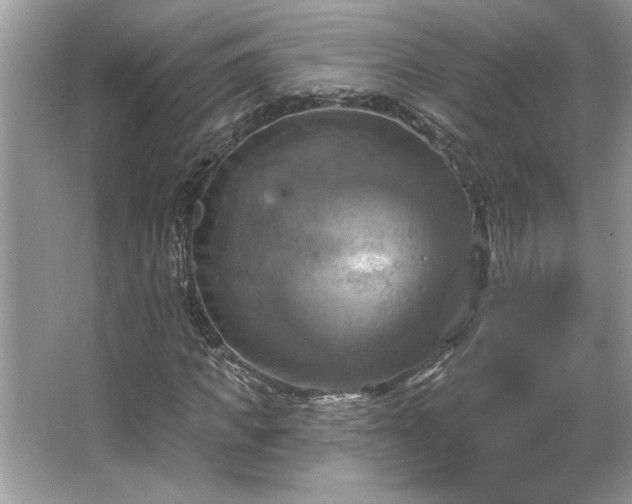 X0000067350917200604071421