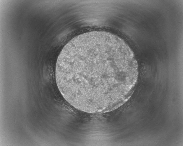 X0000067350918200604071421