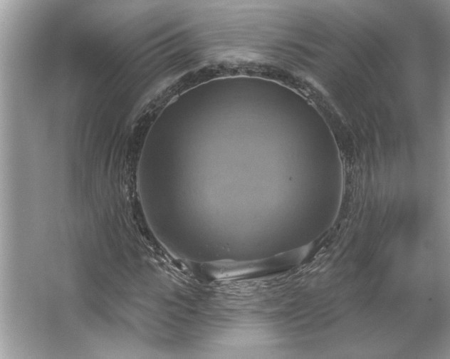 X0000067350919200604071421