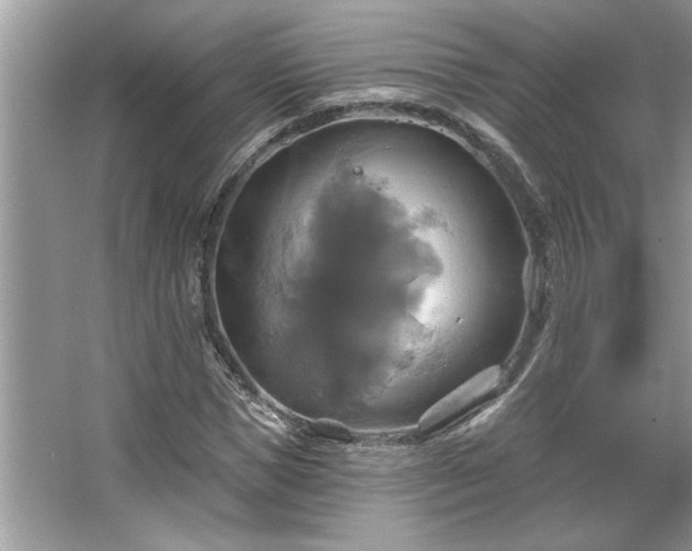 X0000067350921200604071421