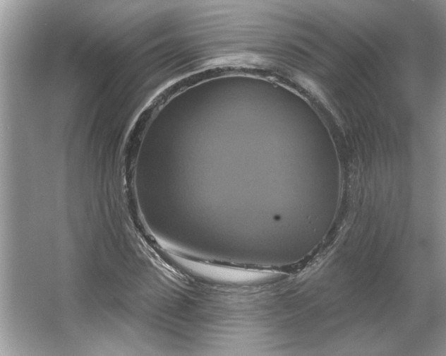 X0000067350923200604071421