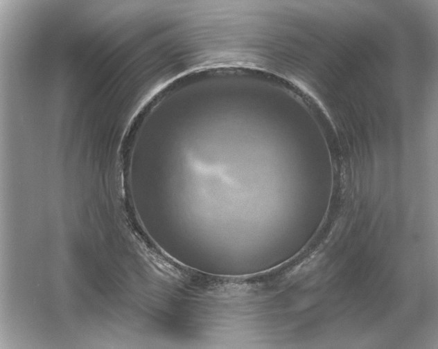 X0000067350925200604071421