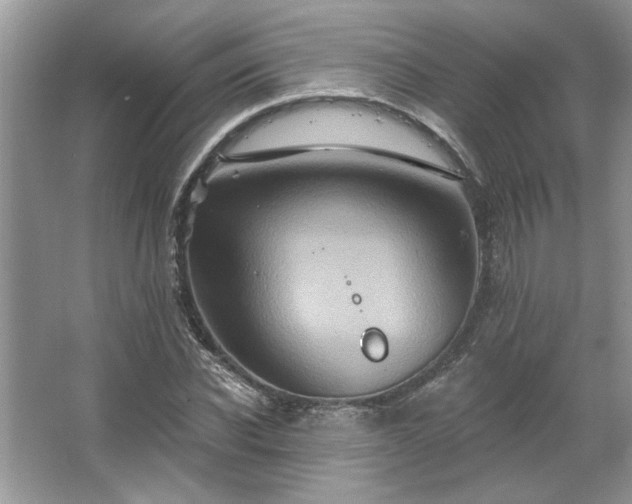 X0000067350926200604071421