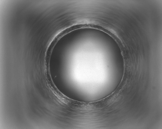 X0000067350927200604071421