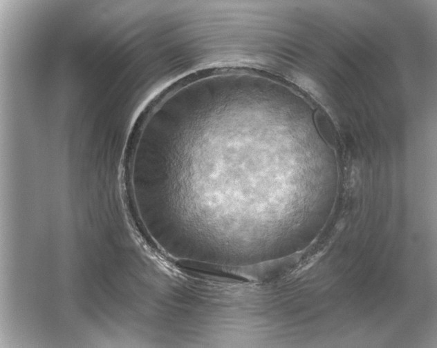 X0000067350928200604071421