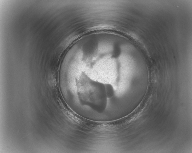 X0000067350929200604071422