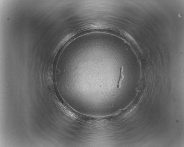 X0000067350930200604071422