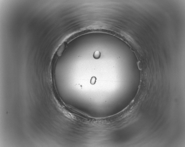 X0000067350934200604071422