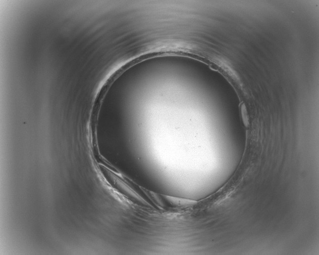 X0000067350936200604071422