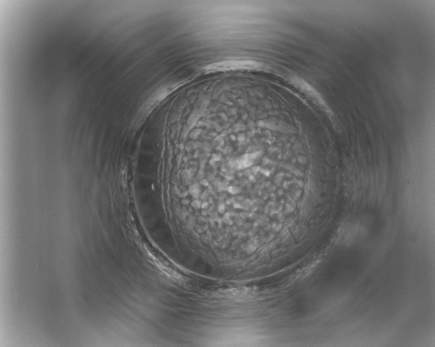 X0000067350937200604071422