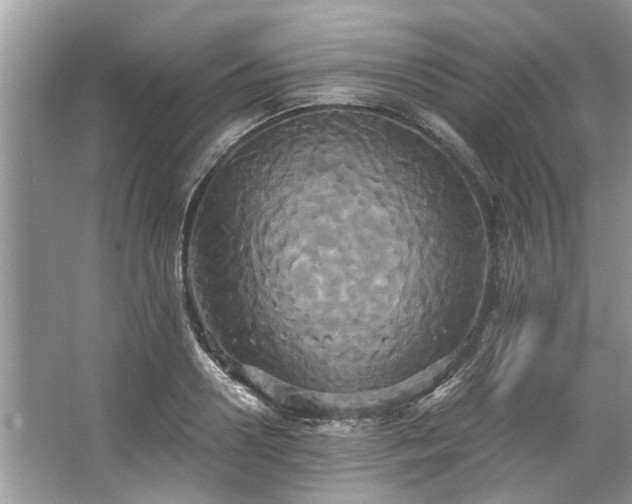 X0000067350938200604071422