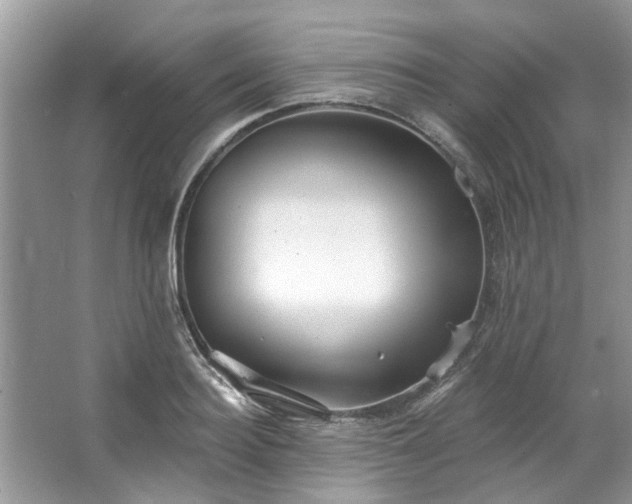 X0000067350940200604071422