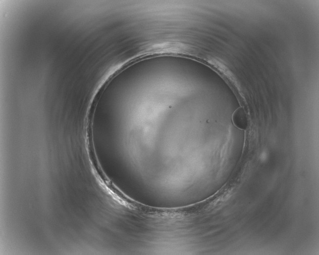 X0000067350941200604071422