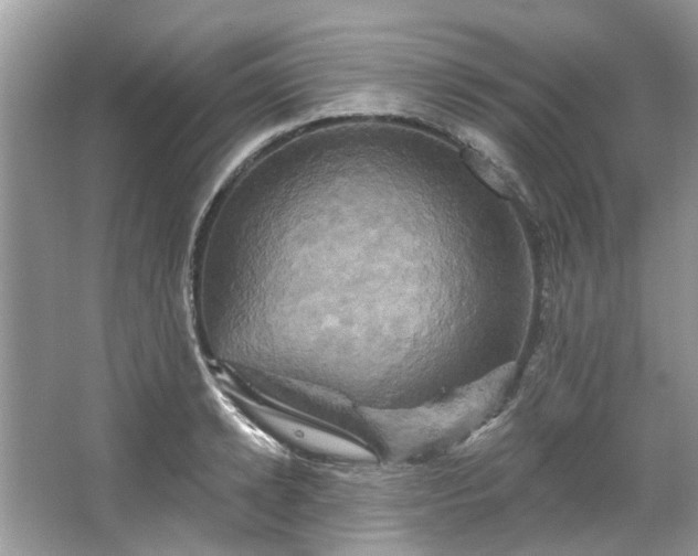 X0000067350942200604071422