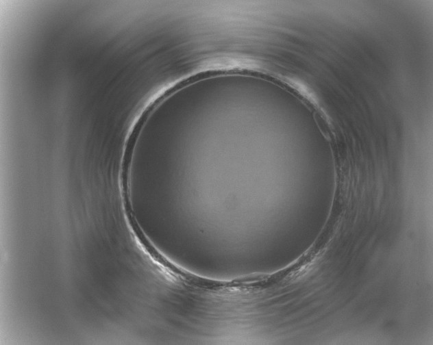 X0000067350943200604071422