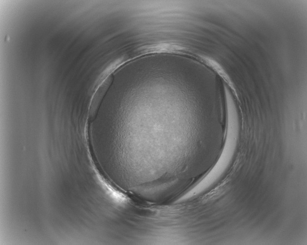 X0000067350946200604071422