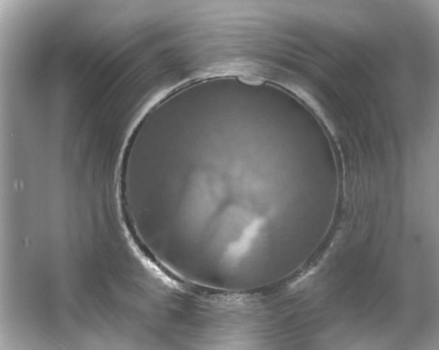 X0000067350949200604071422