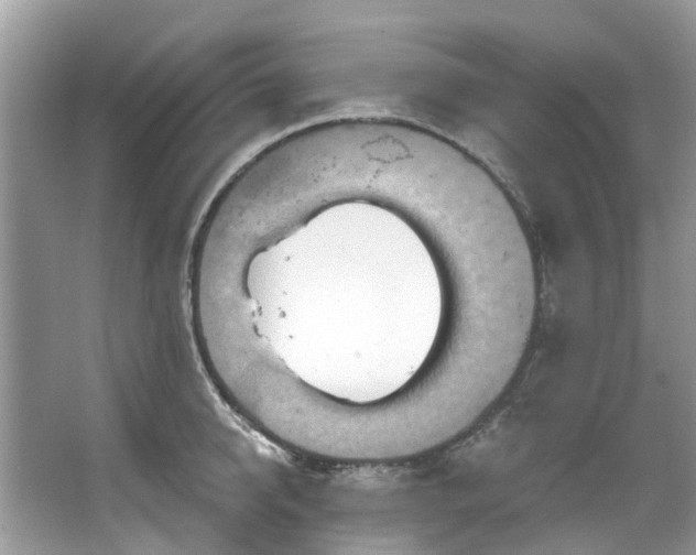 X0000067350950200604071422