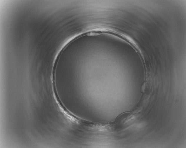 X0000067350951200604071422