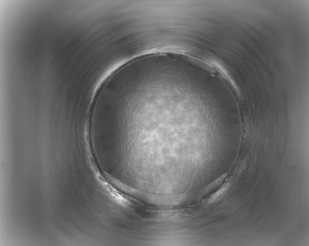 X0000067350952200604071422