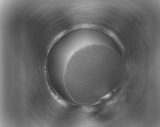 X0000067350954200604071422