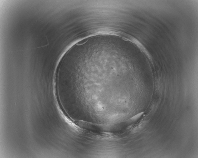 X0000067350955200604071422