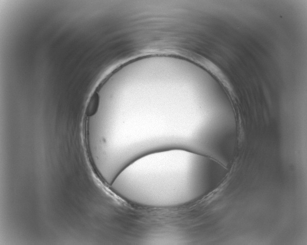 X0000067350958200604071422