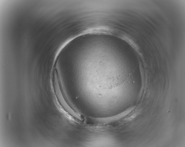 X0000067350960200604071422