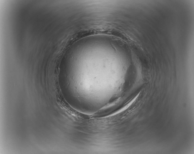 X0000067350961200604071421