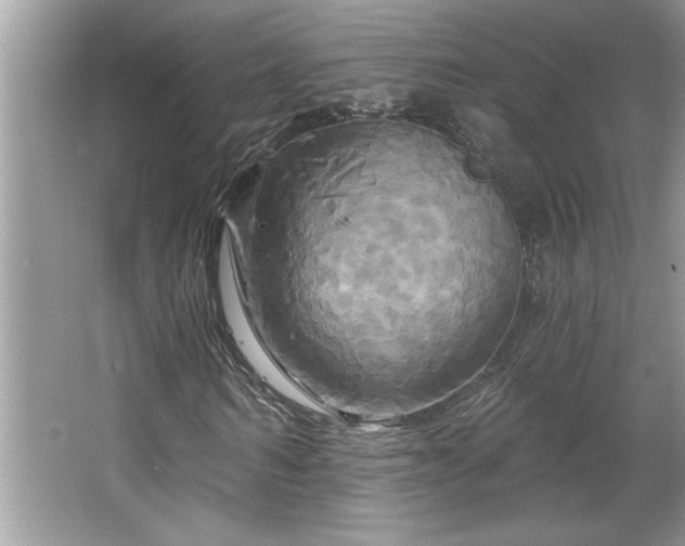 X0000067350962200604071421