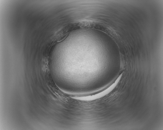 X0000067350964200604071421