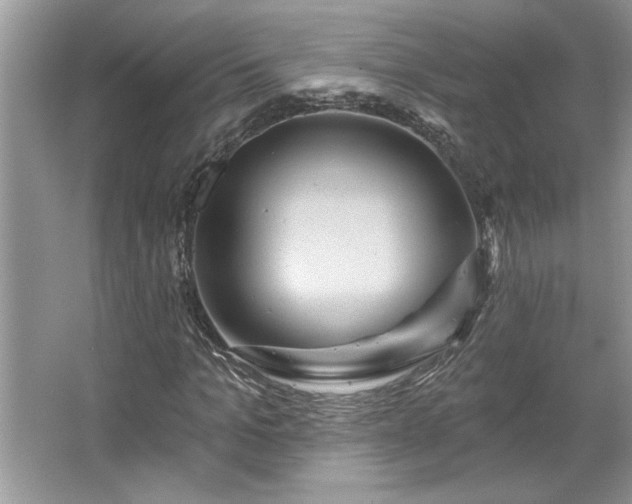 X0000067350965200604071421