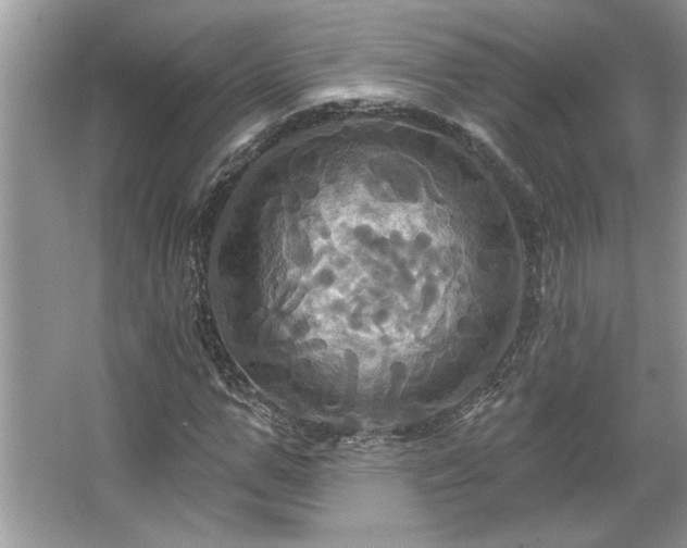 X0000067350967200604071421