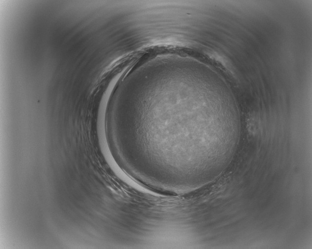 X0000067350968200604071421