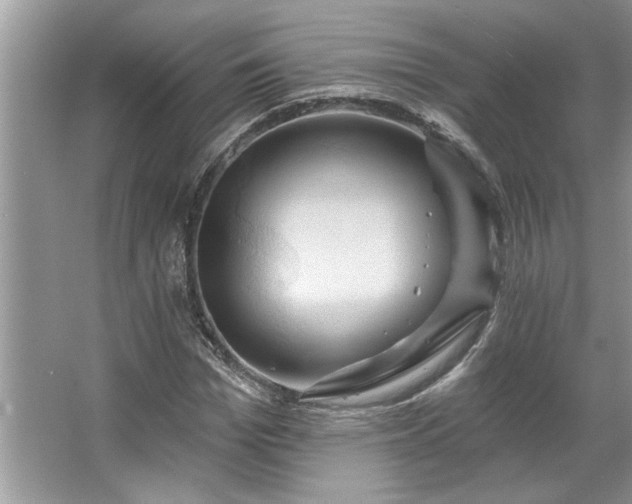 X0000067350969200604071421