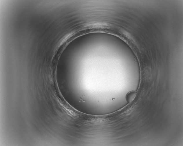 X0000067350970200604071421