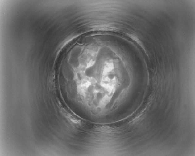 X0000067350971200604071421